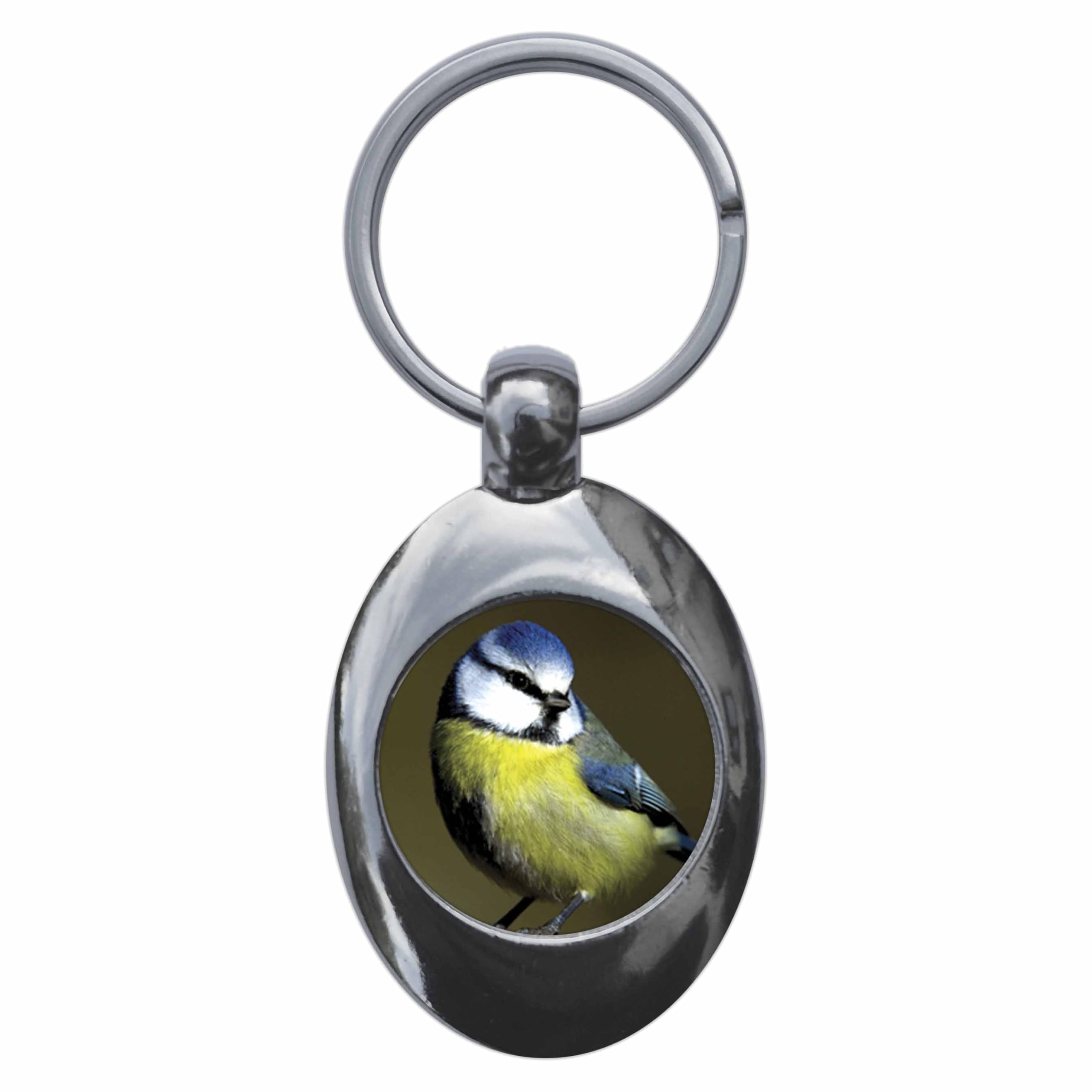 Ozorath Blue Tit Keyring Keychain Key Ring Chain With Trolley Coin