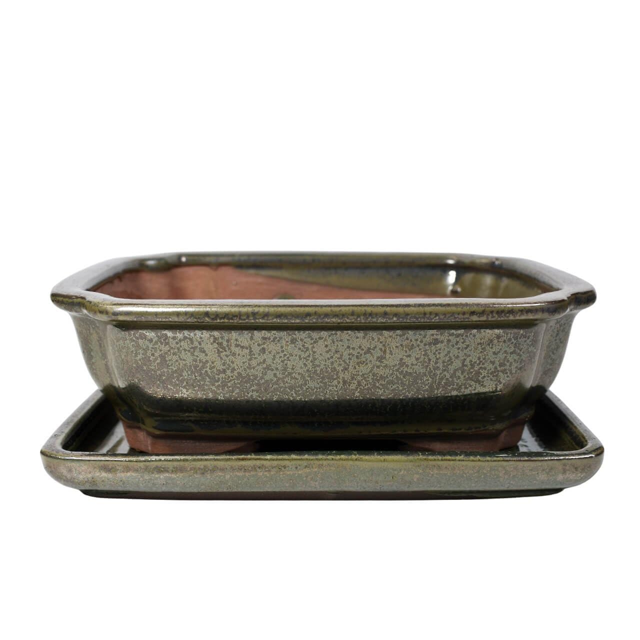 Ceramic Bonsai Pot - 185 x 145 x 60 - Green Rectangle Bonsai Tree Planter | With a Matching Drip Tray