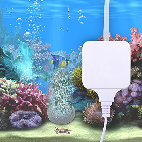 Binnan Super Leise Mini Aquarium Luftpumpe,Aquarium Oxygen Luftpumpe Sauerstoffpumpe