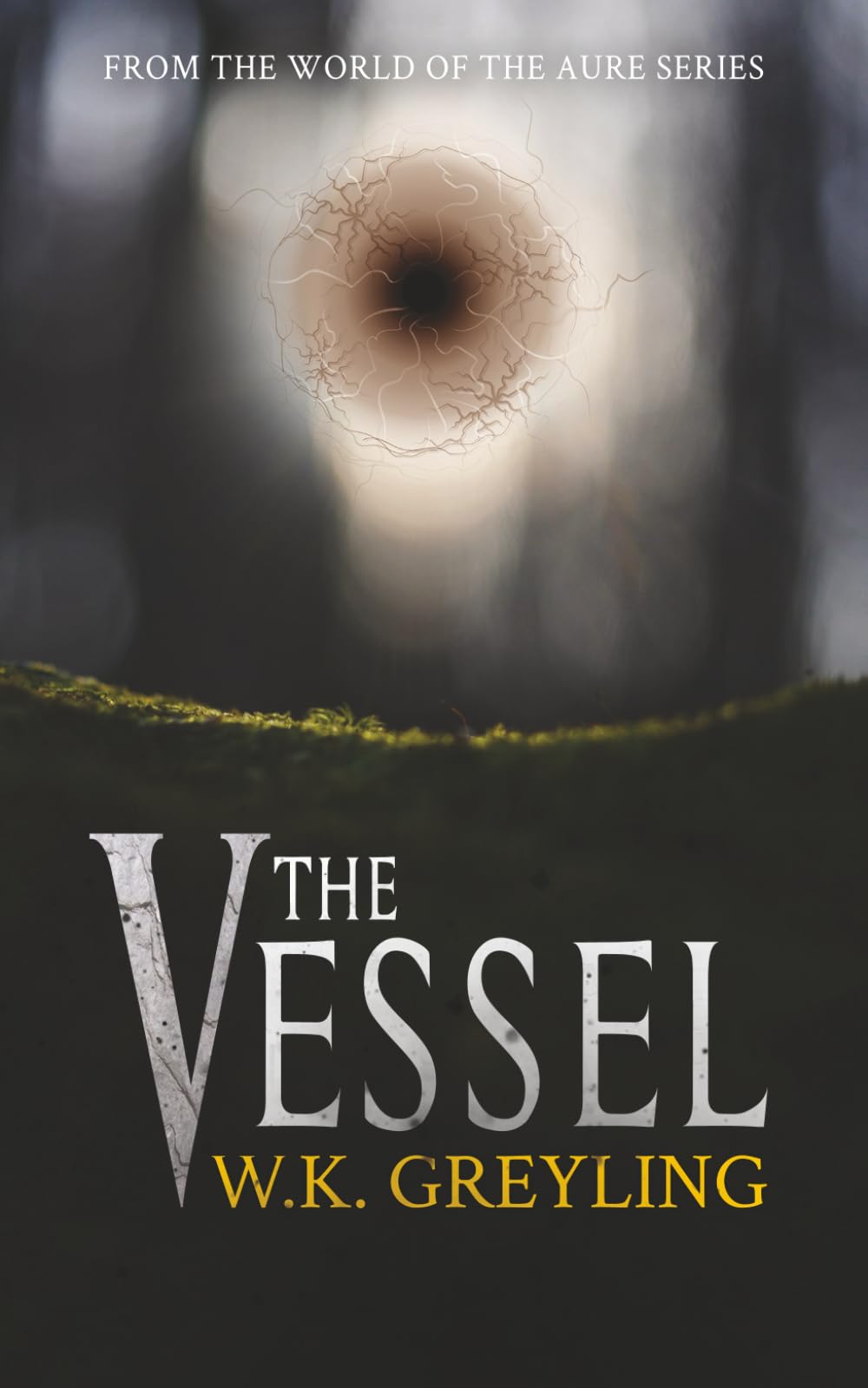 The Vessel: Book One (Aure)