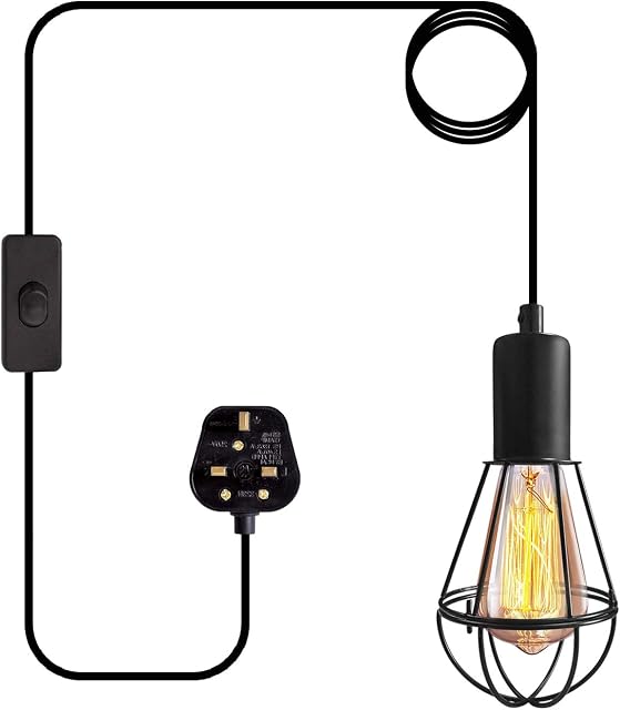 Industrial Pendant Light Fittings Vintage Plug in Pendant Lighting Metal Hanging Light with Plug Birdcage Chandelier with 450cm Cord On/Off Switch Max 60W Black Hanging Lamp E27 Base (Without Bulb)