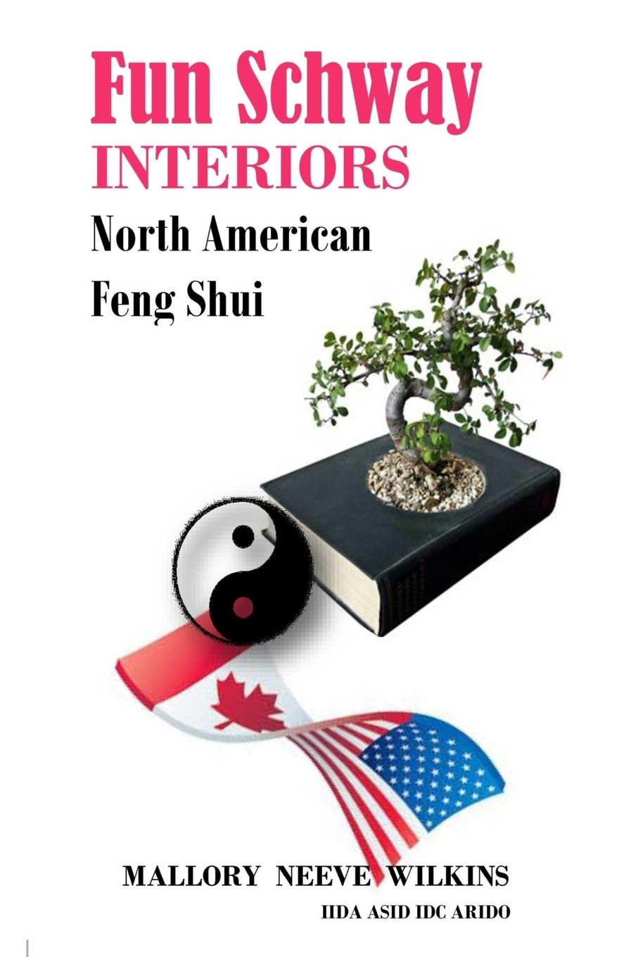 Fun Schway Interiors North American Feng Shui: Volume 1