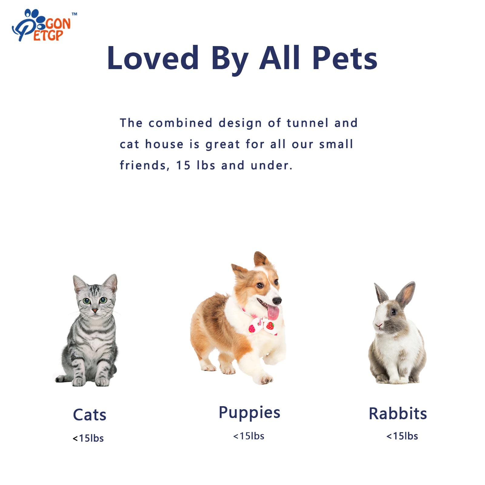 GONPETGP Cat Tunnels for Indoor Cats with Cube Tent Toys Combo, Pop Up Collapsible Crinkle Interactive Peek Hole, Cat Tube with Play Ball and Bell for Kitten, Puppy, Kitty, Rabbit - Set of 3