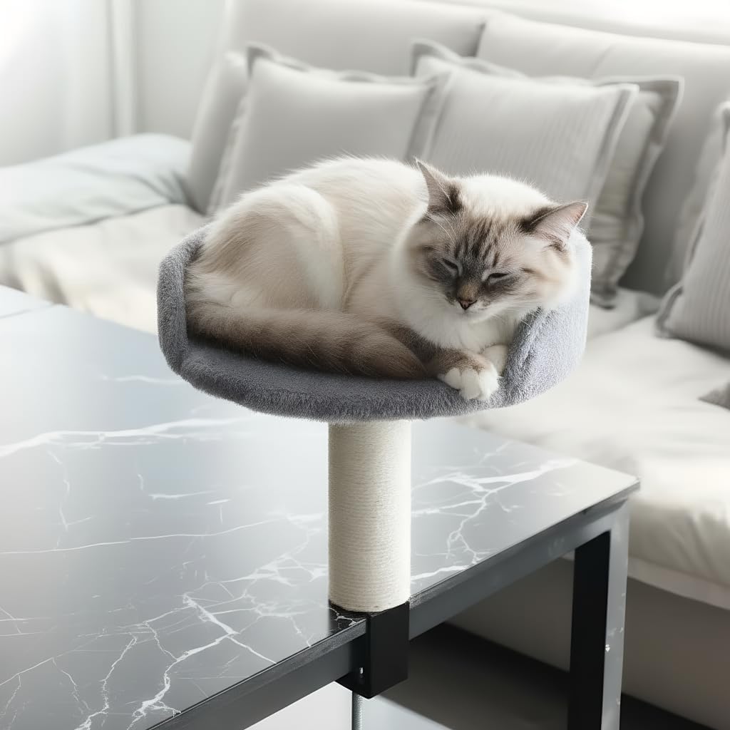 ​ABULL Cat Desk Bed with Sisal Scratching Post – 2-in-1 Perch & Bed with Plush, Comfortable & Easy-to-Clean Fabric, Heavy Duty 50LB Support, Tool-Free Assembly, Space-Saving for Desks (Gray)​