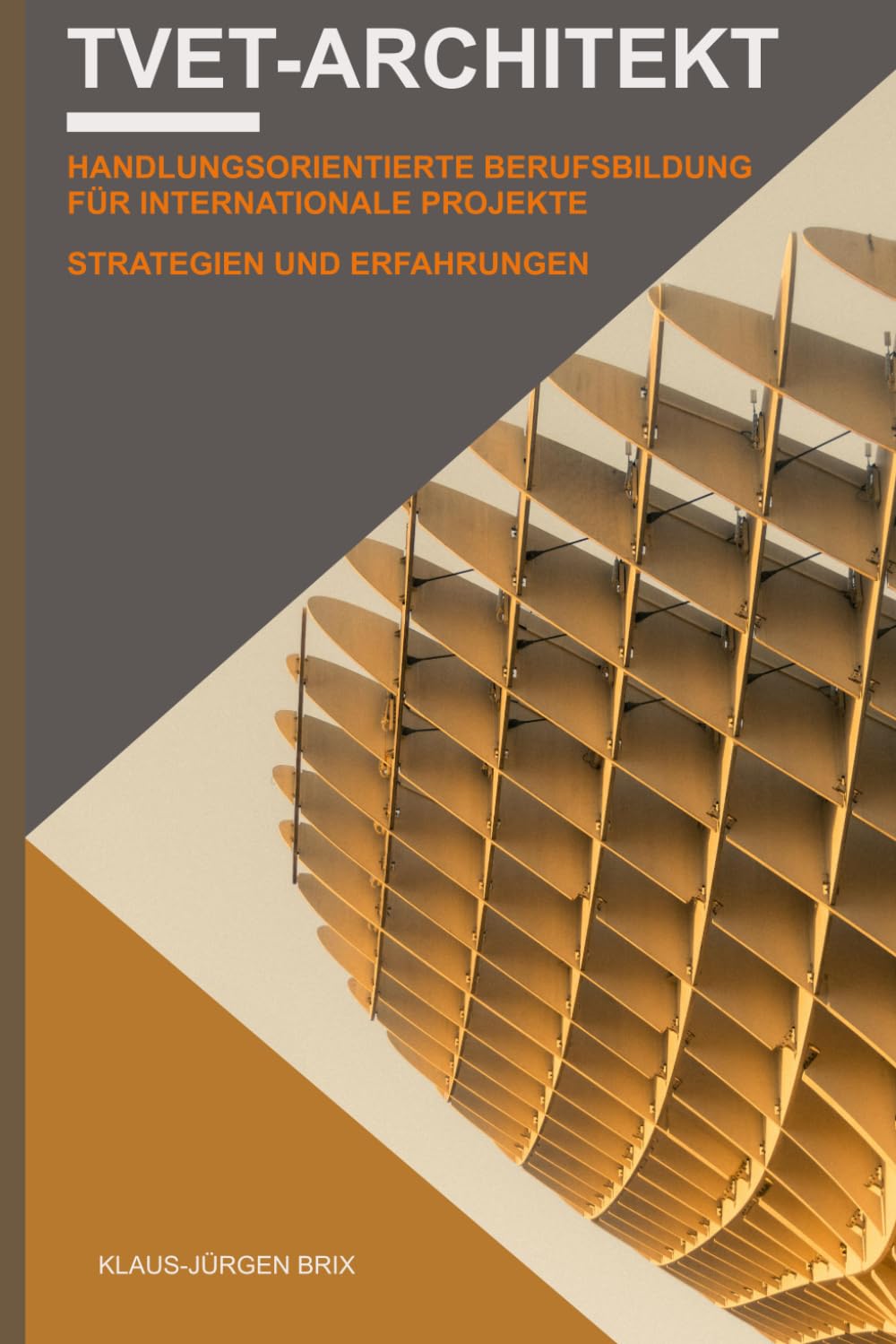 TVET-Architekt: Handlungsorientierte Berufsbildung für internationale Projekte - Strategien und Erfahrungen