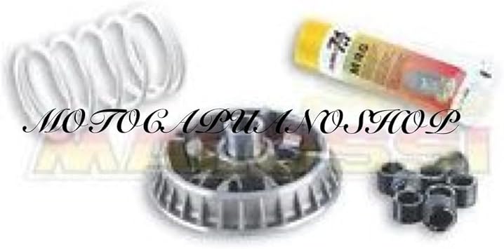 5114260 variator Multivar MALOSSI MHR Piaggio MP3 400 500 Beverly Cruiser  x10 : Amazon.co.uk: Automotive