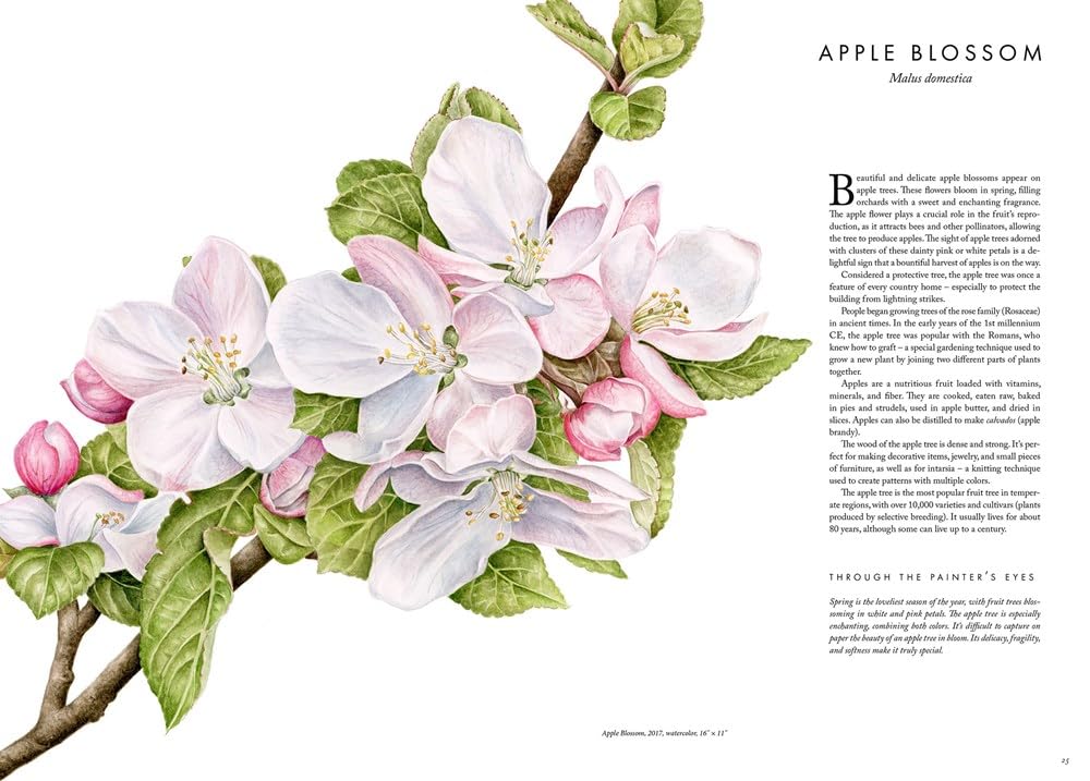 The Souls of Flowers: The Loveliest Flowers in Our Meadows and Gardens (Large Encyclopedias)