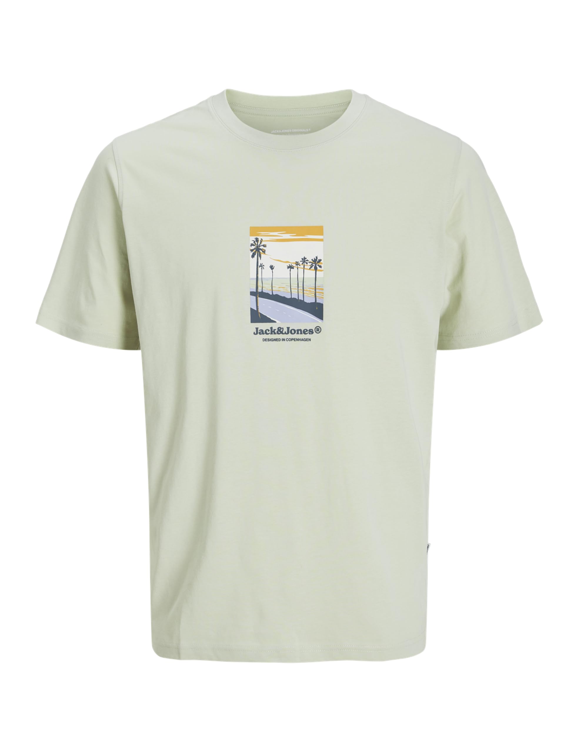 JACK & JONES Jorsplit Graphic Front Tee SS Crew Neck, Celadon Tint, XS