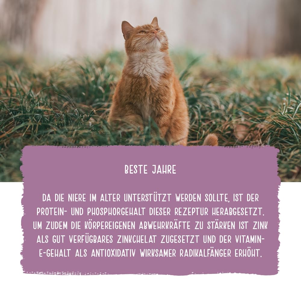 Chicopee Classic Nature Line | Senior Best Age | Katzenfutter trocken | Frisches Geflügel | Für ältere Katzen | Vitamine, Selen, Zink | Inspiriert von der Natur Kanadas | 15 kg