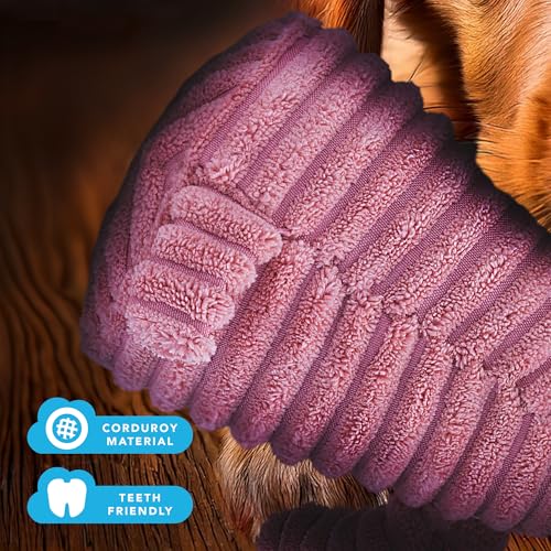 Zappi Co Rosa Lamm Plüsch Hundespielzeug mit Quietscher – Weiches, langlebiges Design, gerippt für Spielspaß. Ideal für kleine/mittelgroße Hunde.
