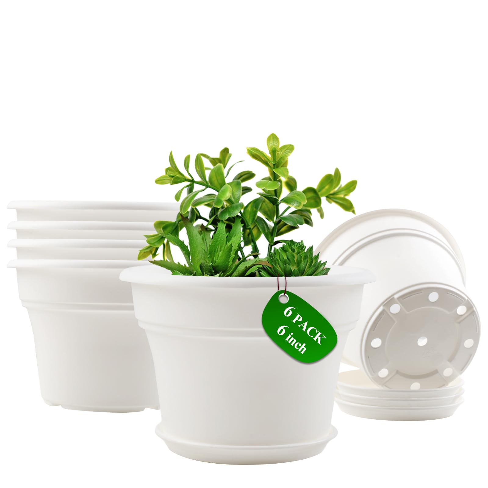 Pottiffe 6 Inch Plastic Flower Pot