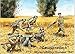 Masterbox COUNTERATTACK, Soviet Infantry, Summer 1941 WWII 1/35 Master Box 3563