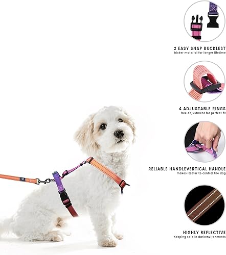 Miniatura 2 de Roses&Poetry Juego de arnés y correa para perro pequeño, arnés ajustable reflectante sin tirones, arnés halter para perro, cómodo mango acolchado,