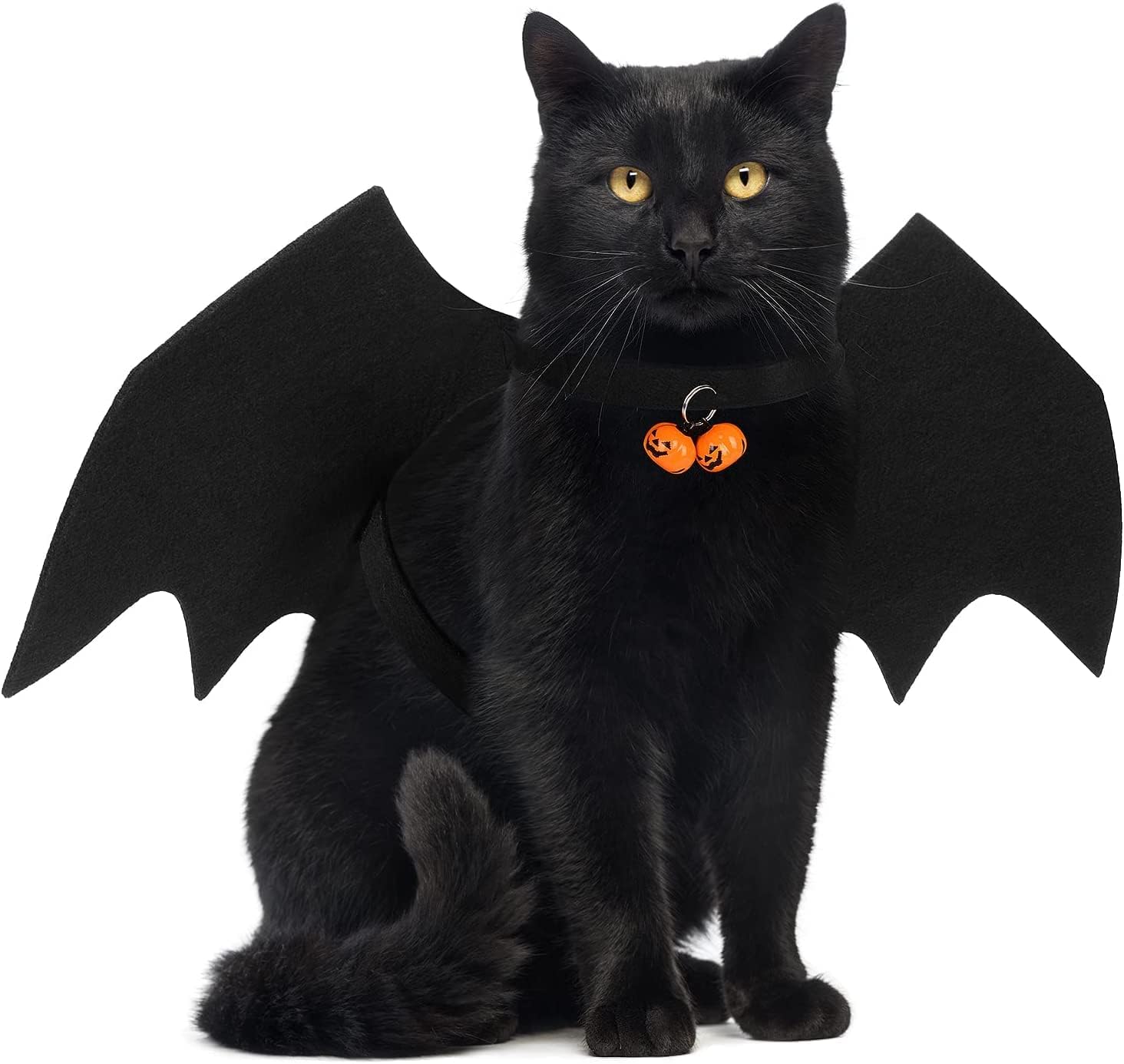 Amazon Adjustable Cat Costume Bat Wings Cat Halloween Costume amazon-adjustable-cat-costume-bat-wings-cat-halloween-costume