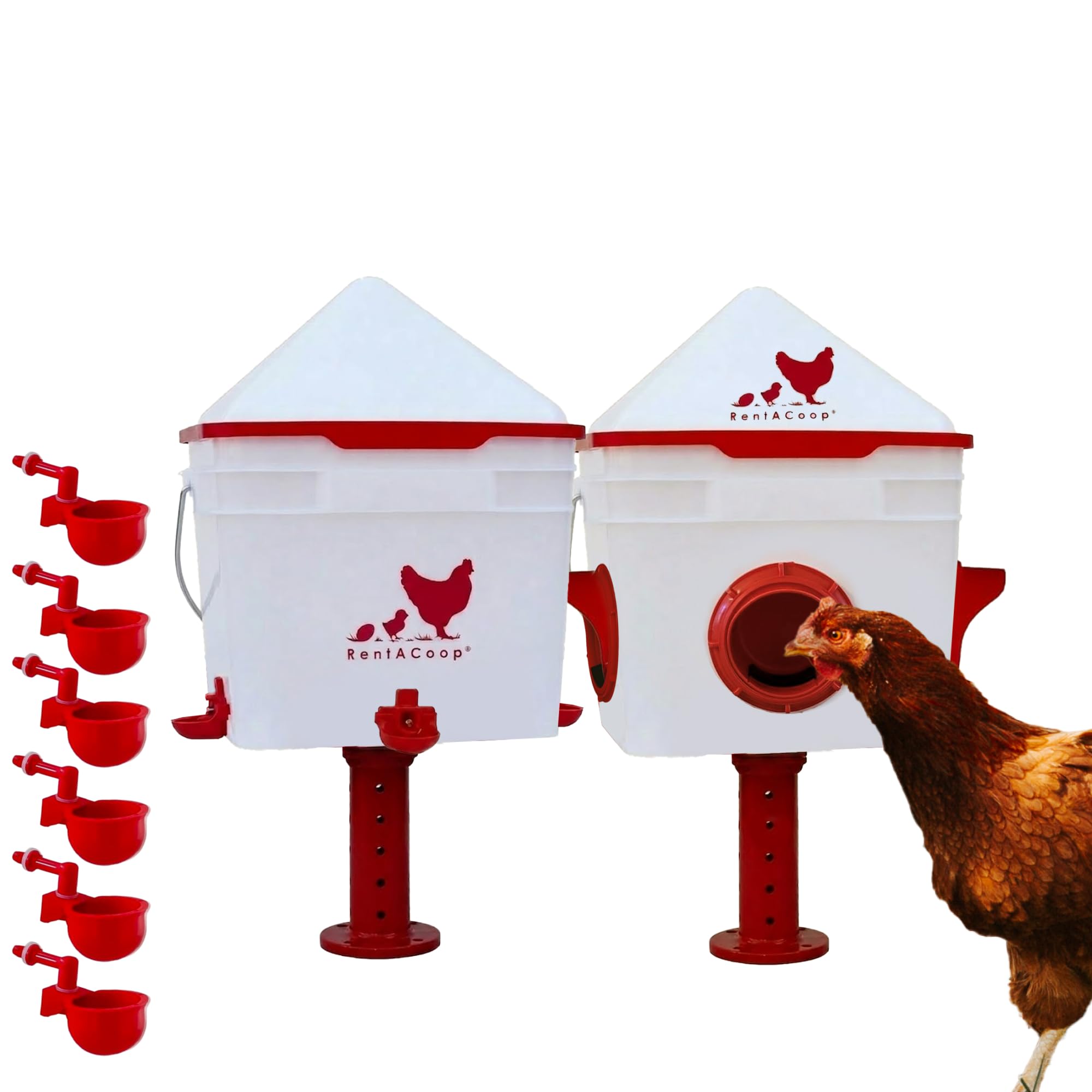 RentACoop Chick2Chicken Feeder and Waterer Set