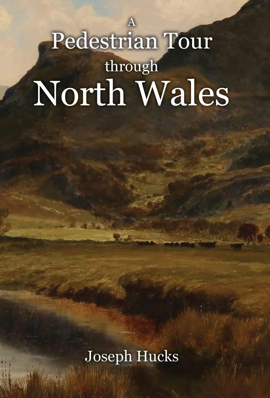 A Pedestrian Tour through North Wales in a Series of Letters