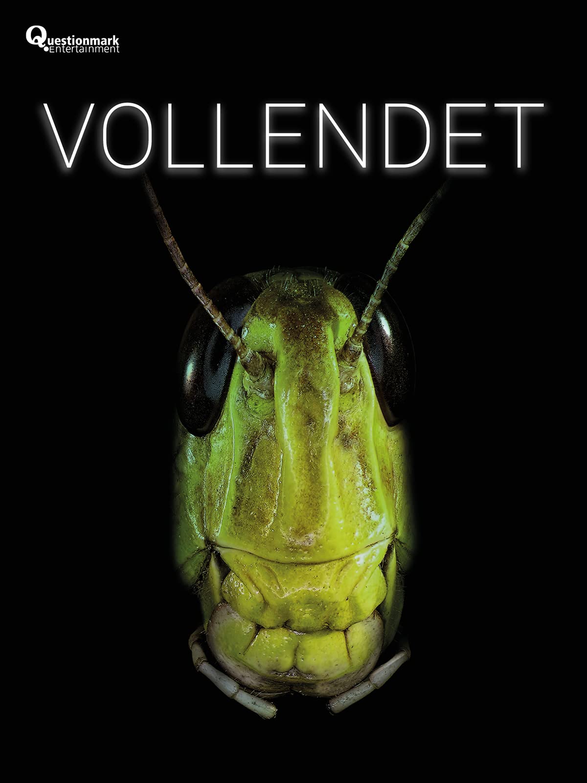 amateur sex fairuz dibba