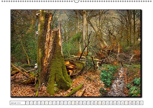 Der Neuenburger Urwald (Wandkalender 2018 DIN A2 quer): Peter Roder mit faszinierenden Bildern aus dem Naturschutzgebiet Neuenburger Urwald im ... ... Natur) [Kalender] [Apr 01, 2017] Roder, Peter