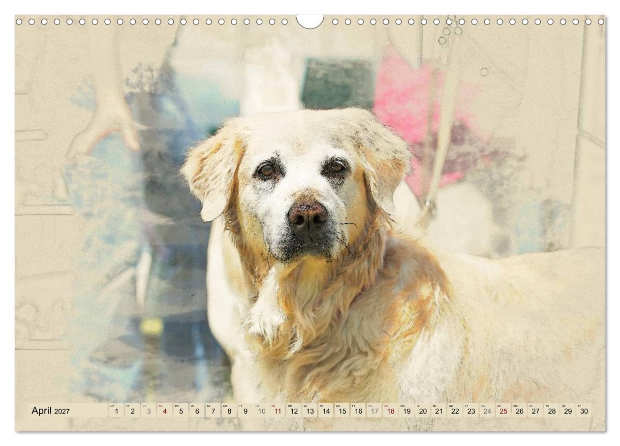 CALVENDO - Golden Retriever 2027 (Wandkalender 2027 DIN A3 quer), Monatskalender: Golden Retriever im kunstvollen Aquarell-Stil. Jedes Monatsmotiv gleicht einem kleinen Kunstwerk
