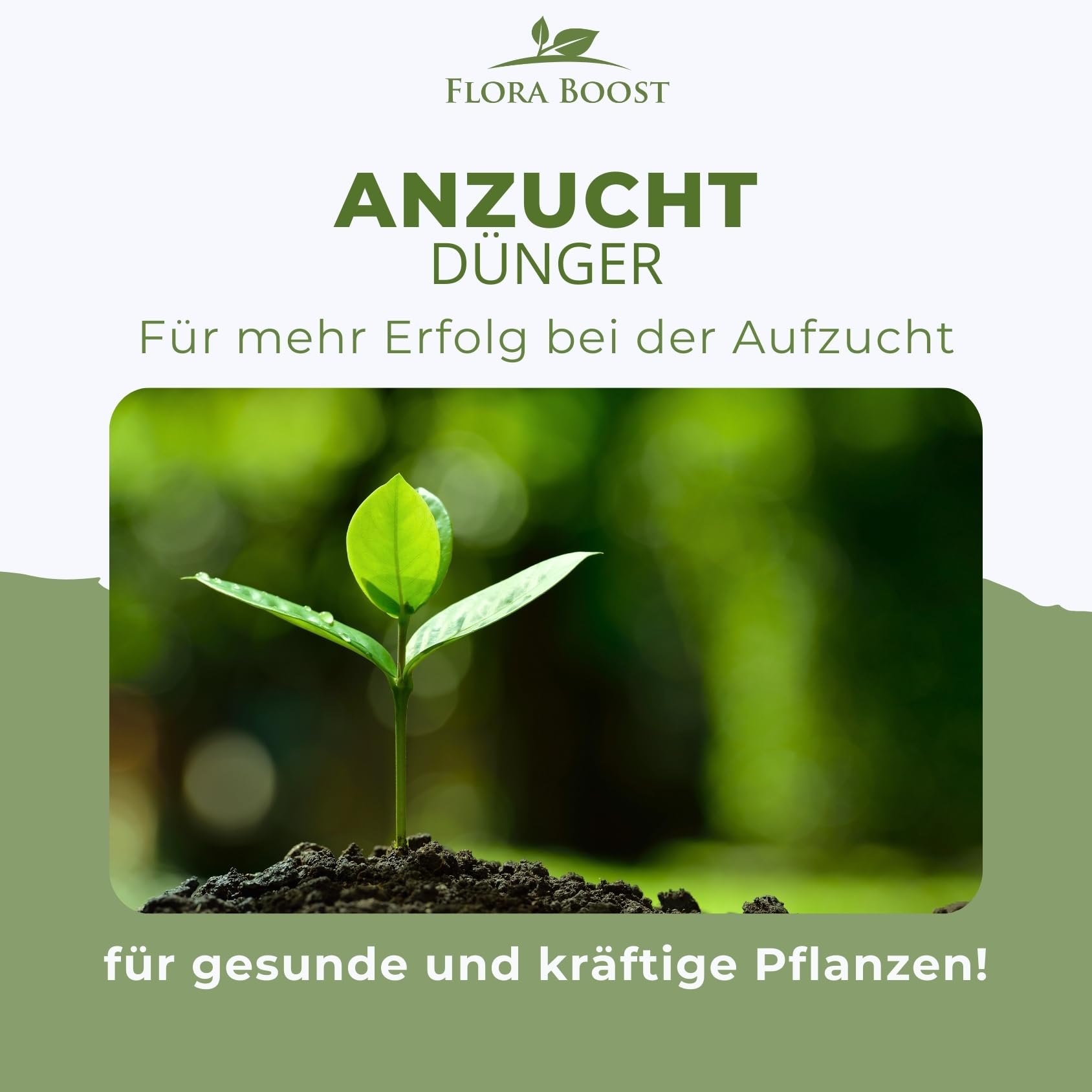 Konfitee Jungpflanzen Anzucht Dnger Flora Boost 500ml I Fr bis zu 100L  Giewasser I Fr Gemse- & Obstpflanzen und Blumen I Flssiger Blatt- &  Wurzeldnger I 100% natrlicher Pflanzendnger : Amazon.de: Garten