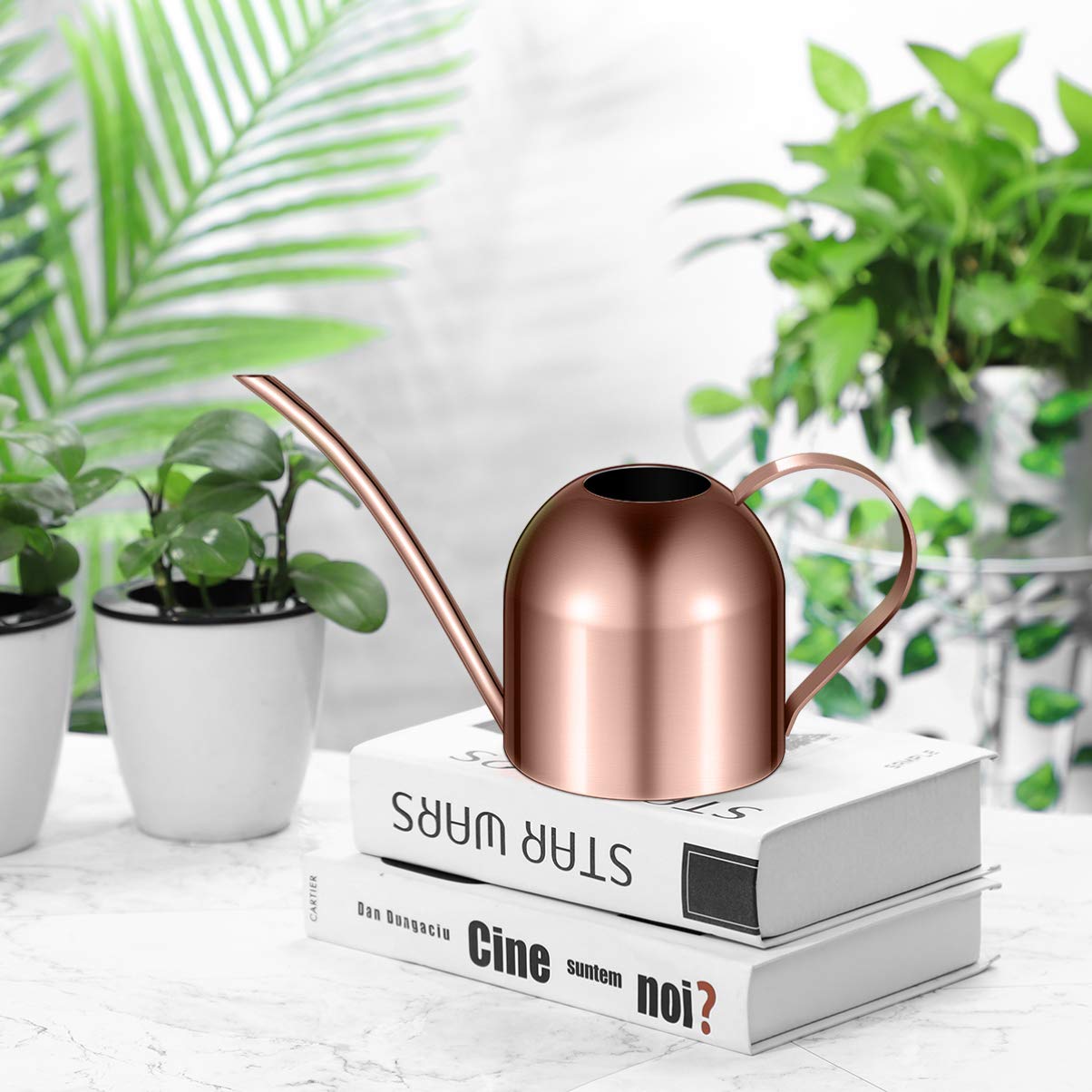 1 arrosoir en Acier Inoxydable pour Plantes d'intérieur ou Plantes d'intérieur - Long Bec - 1000 ML - Petit Pot d'arrosage de Jardin (cuivre)