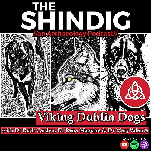 Viking Dublin Dogs Podcast Por  arte de portada