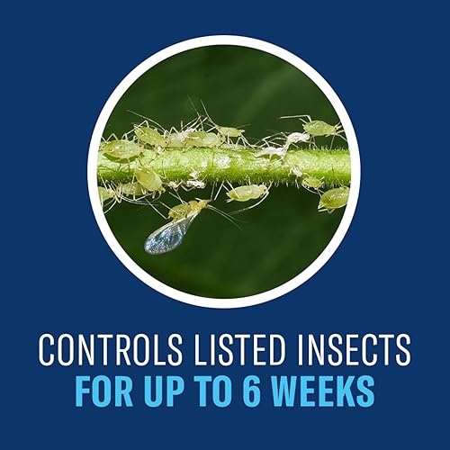 Miniatura 3 de BioAdvanced Asesino de insectos para árboles y arbustos, listo para usar, 32 onzas