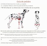 Ver la foto 3