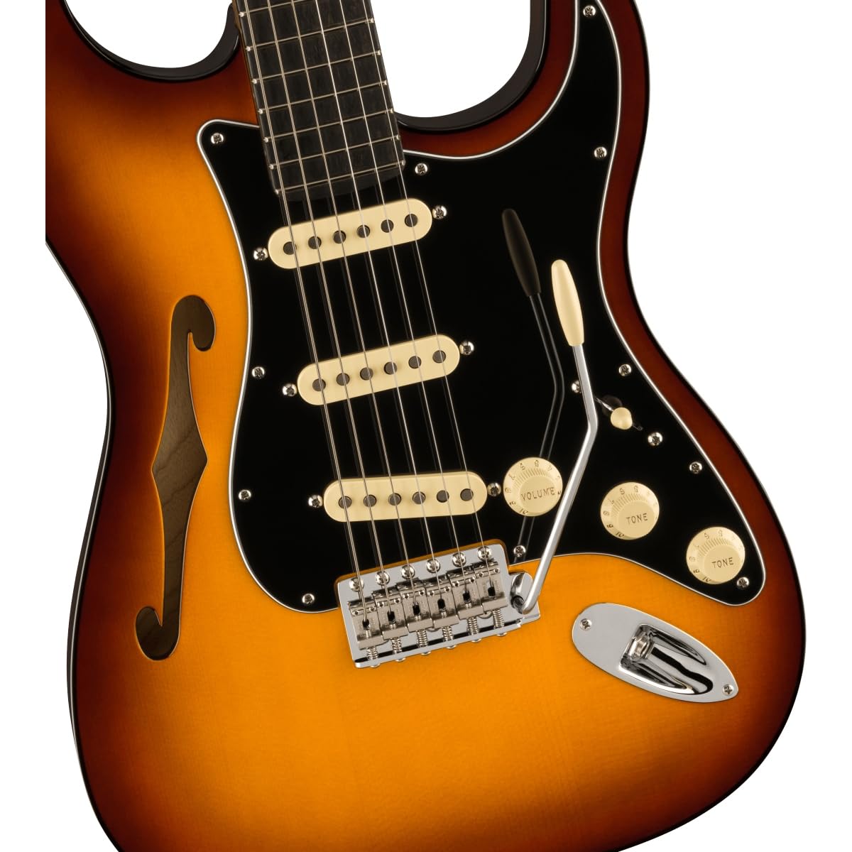 WARMOTH Stratocaster Thinline ボディ+その他 WARMOTH Stratocaster Thinline ボディ+その他