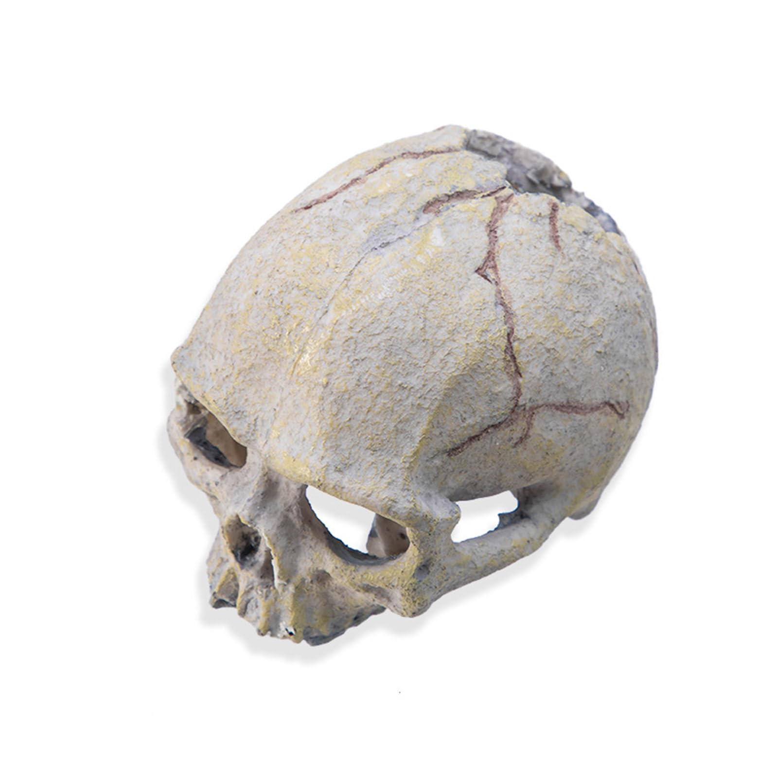 Elnwnnkc Reptiles Aquarium Decors Resin Skull Head Fishtanks Terrariums Hideouts Accessories for Bearded Dragon and Snake Reptiles Habitat Decors