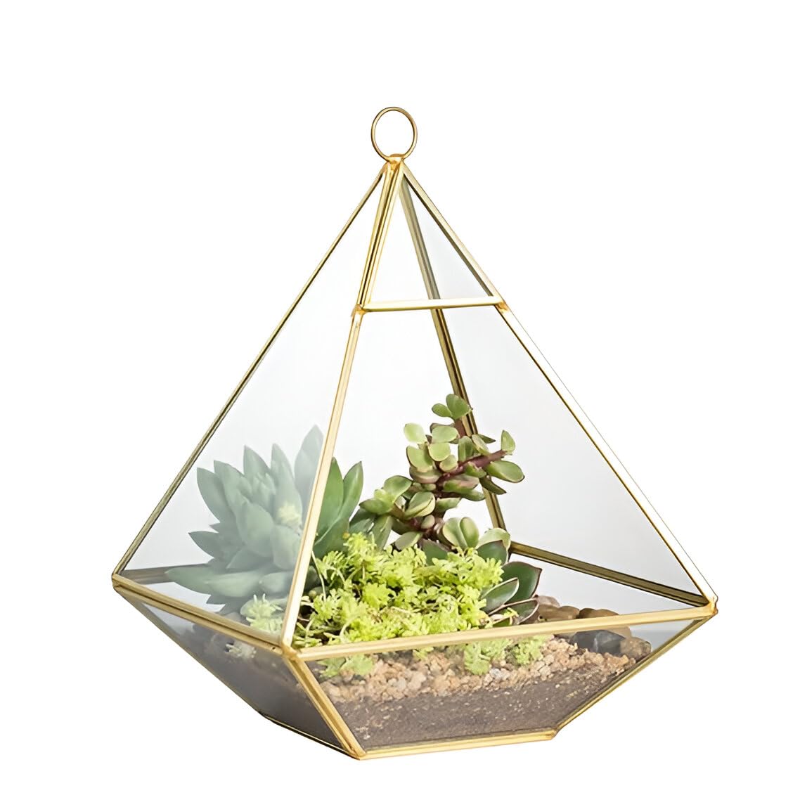 Handy Creations Geometric Size 7 Inch Glass Terrarium, Gold Metal Frame, Pyramid Tabletop Succulent Air Plants, Modern Style, Wall Hanging Terrarium, Display Case, Indoor Balcony, (Pack of 1)-image-0