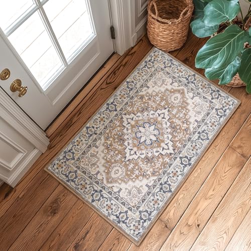 Lessymo 2 x 3 Entryway Rug- Machine Washable Area Rugs