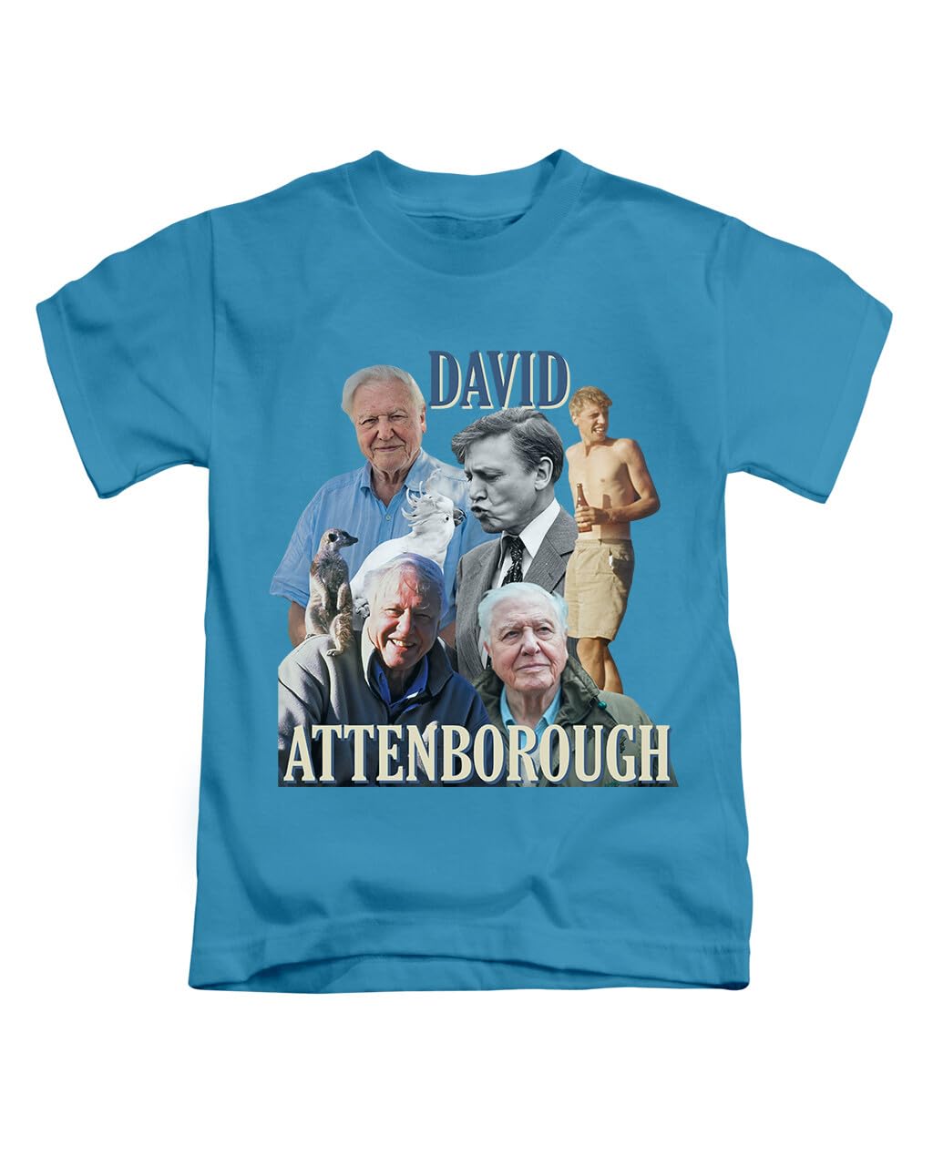 New Spirit Original Unisex Sapphire David Attenborough Tee T-Shirt Funny T Shirt Top