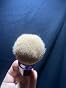 Easyhut Retractable Kabuki Makeup Brushes 2 Pcs Blush Brushes Set Portable Powder Brushes with Flat and Angled Top for Liquid Cream Girls Cosmetics Travel, Large/1.18inch, Rose Gold