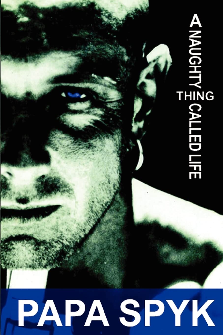 A Naughty Thing Called Life: Volume 2