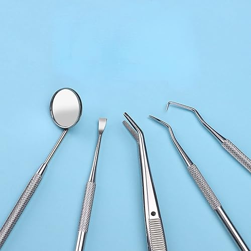 Miniatura 4 de JIBIACB Herramientas dentales, juego de herramientas de limpieza de dientes con estuche, púa dental, raspador dental, espejo dental, removedor de