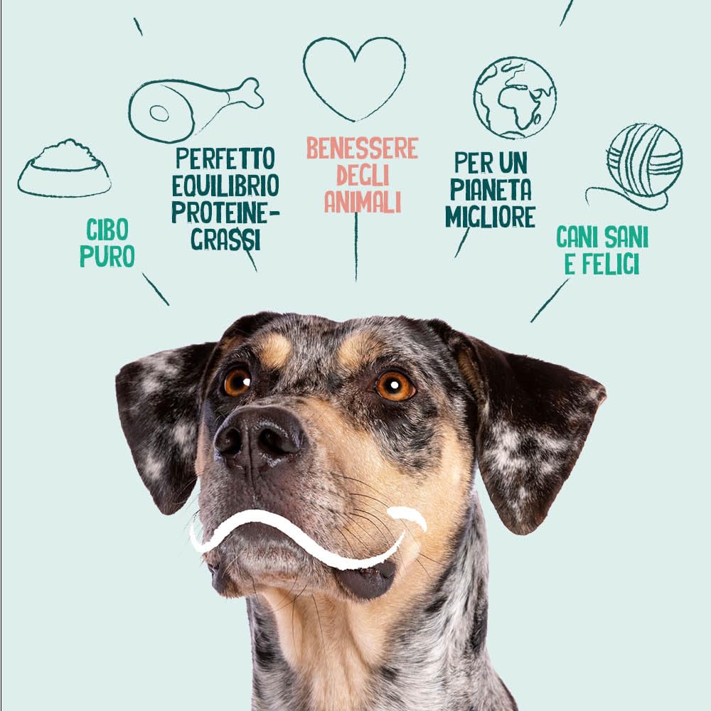 Yarrah Vega Grain-Free | Cibo secco vegetariano | Deliziose crocchette vegetariane senza cereali con soia, piselli, lupino bianco, baobab e alghe biologici per cani adulti | 10kg
