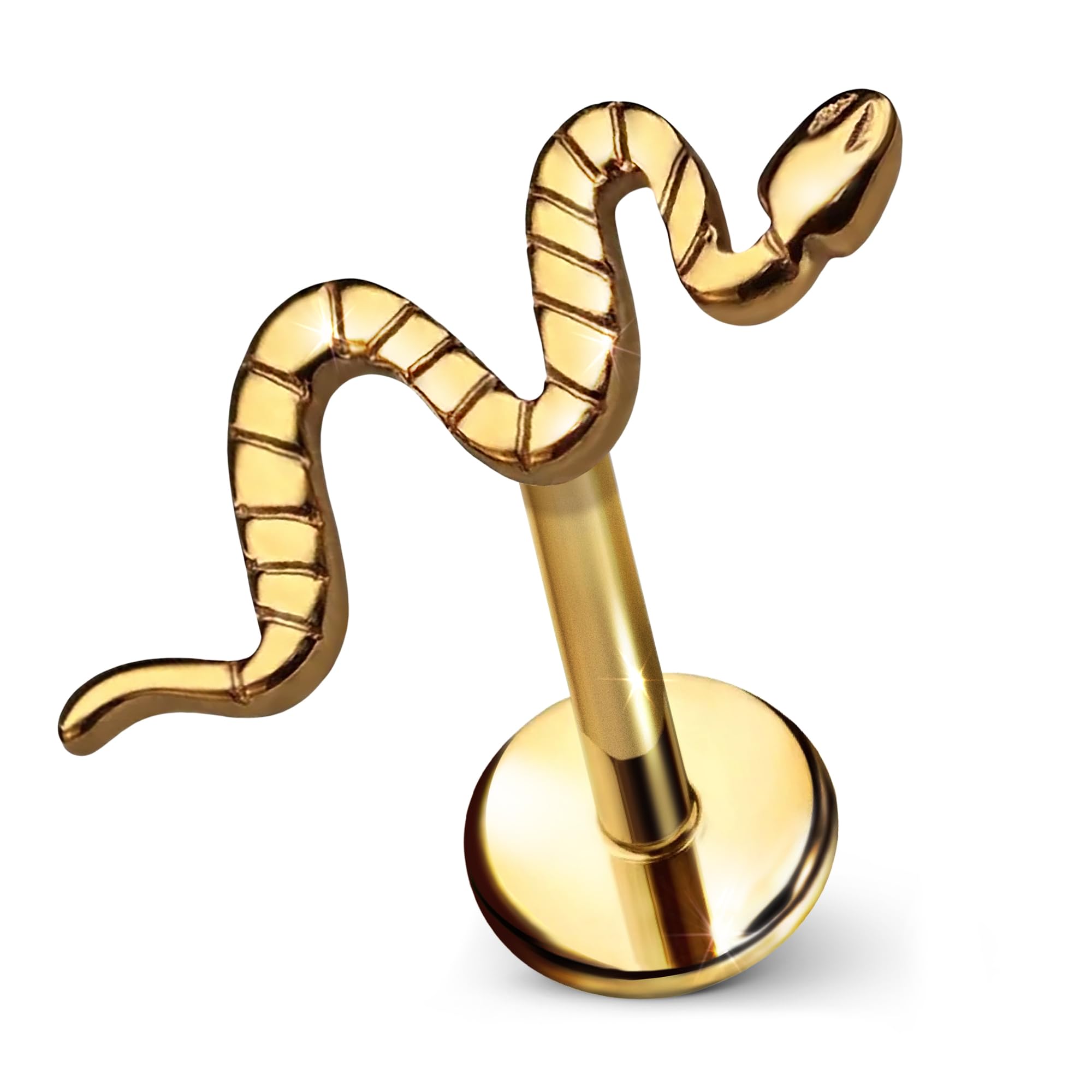Cords Club Snake Flat Back Stud – ASTM-F136 Implant Grade Titanium - Push Pin Design for Sensitive Ears – Available in 18K Gold Plated & Titanium
