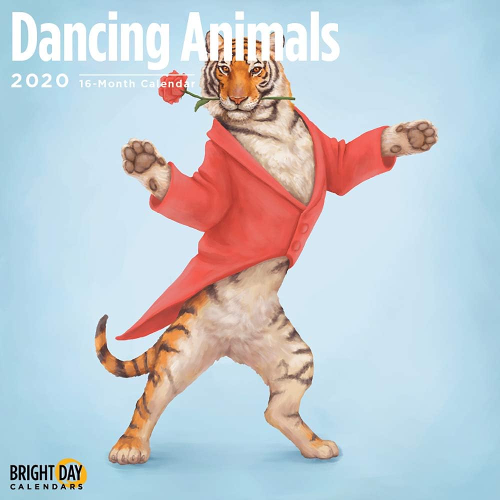 2020 Dancing Animals Wall Calendar by Bright Day