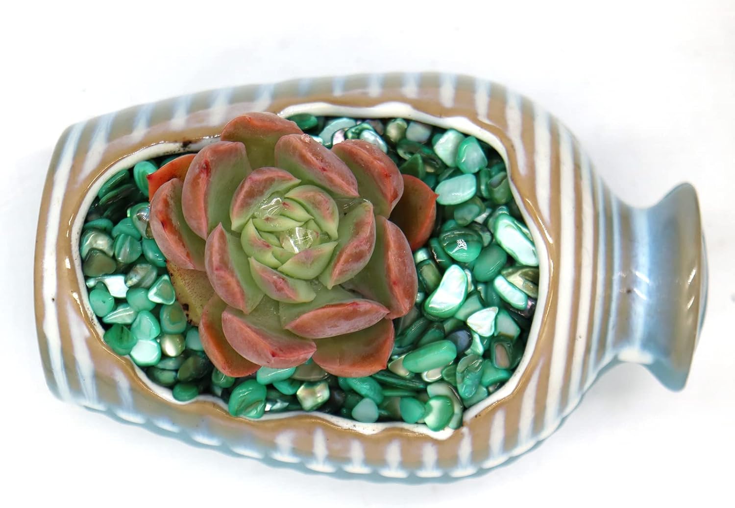 Small Mini Natural Crushed Mother of Pearl Shells for Weddings Vase Filler Home Décor, and Crafts (32 oz (2 lb), Green