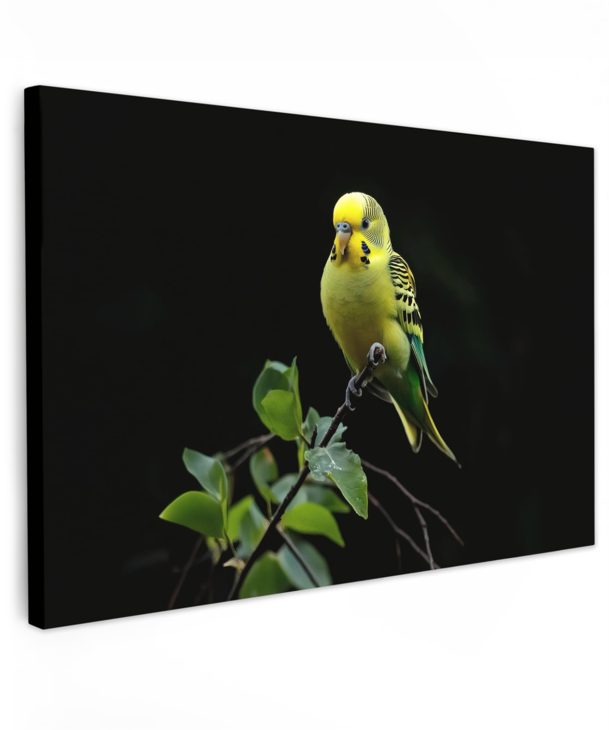 MuchoWow© Canvas Wall Art 24"x16" / 60x40 cm Home Decor Paintings for Living Room Decorations Gifts Hallway Parakeet - Branch - Leaves - Yellow