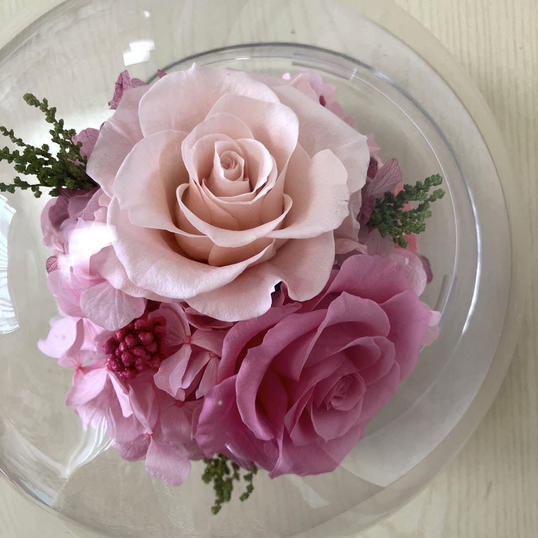 Amazon.co.jp: プリザーブドフラワー ガラスドーム Belles Fleurs