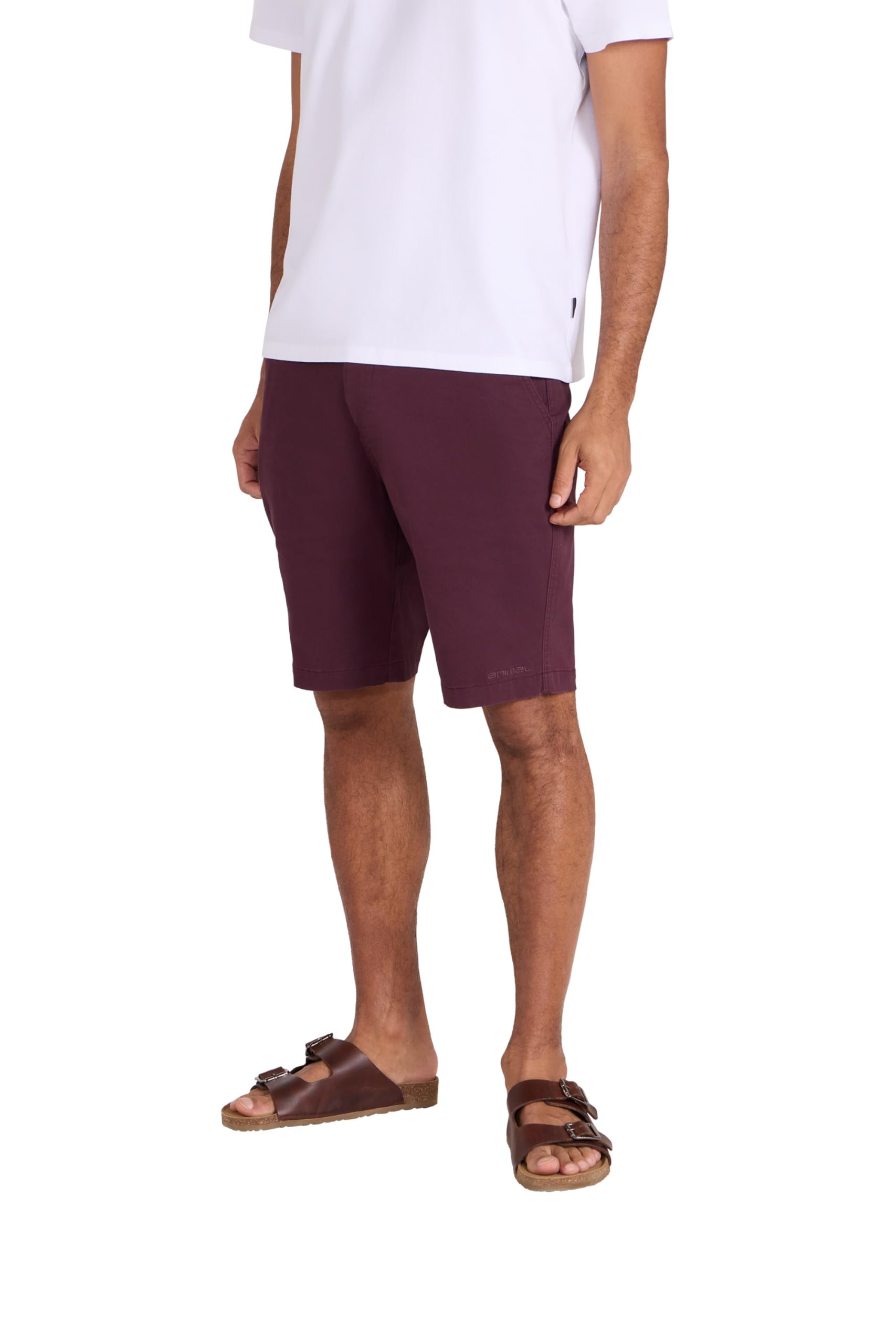 Animal Men's Westbay Chino Shorts - Burgundy - 34R