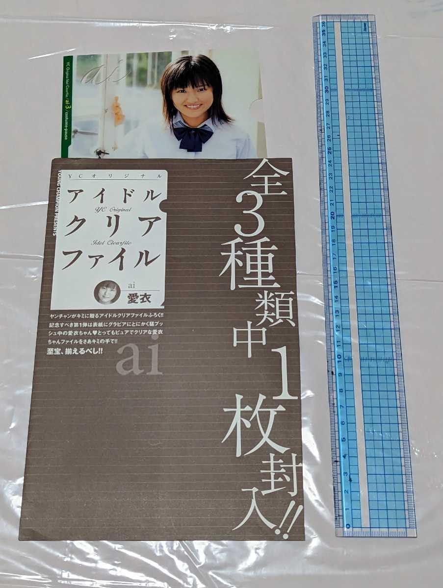 YOUNG CHAMPION 付録 アイドルクリアファイル 38冊 YOUNG CHAMPION 付録 アイドルクリアファイル 38冊 【公式通販】