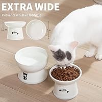 Vista 5 de FOREYY - Juego de cuencos elevados para comida y agua para gatos, cuencos elevados de cerámica para gatos con anillo antideslizante, antivómitos