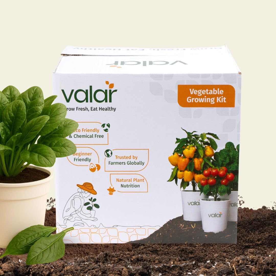 valar spinach growing kit | diy all-in-one home gardening set (pack of 1 - big) | organic seeds + bio-fertilizers+ 24x7 support. (9x9 grow bag)