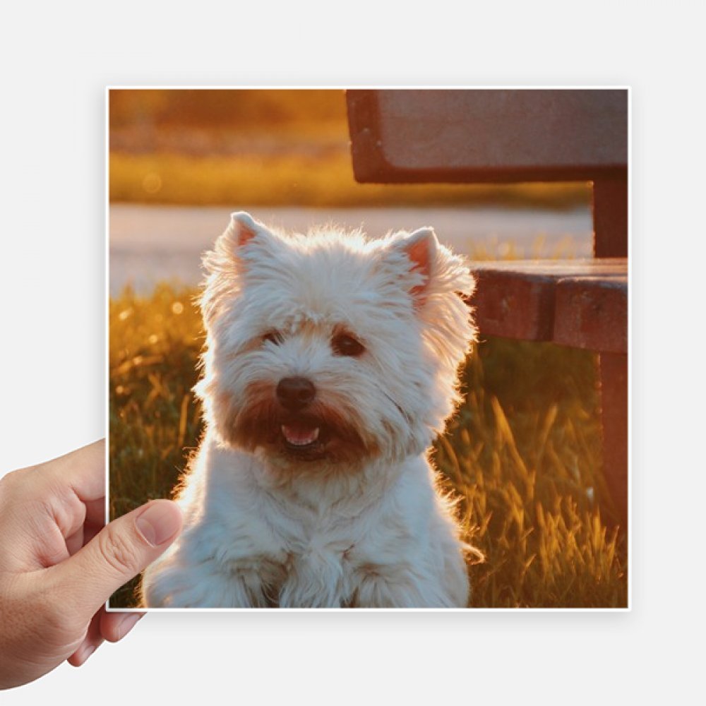 Sticker carré Chien Blanc Lonely Night de 20 cm aux finitions multicolores de précision
