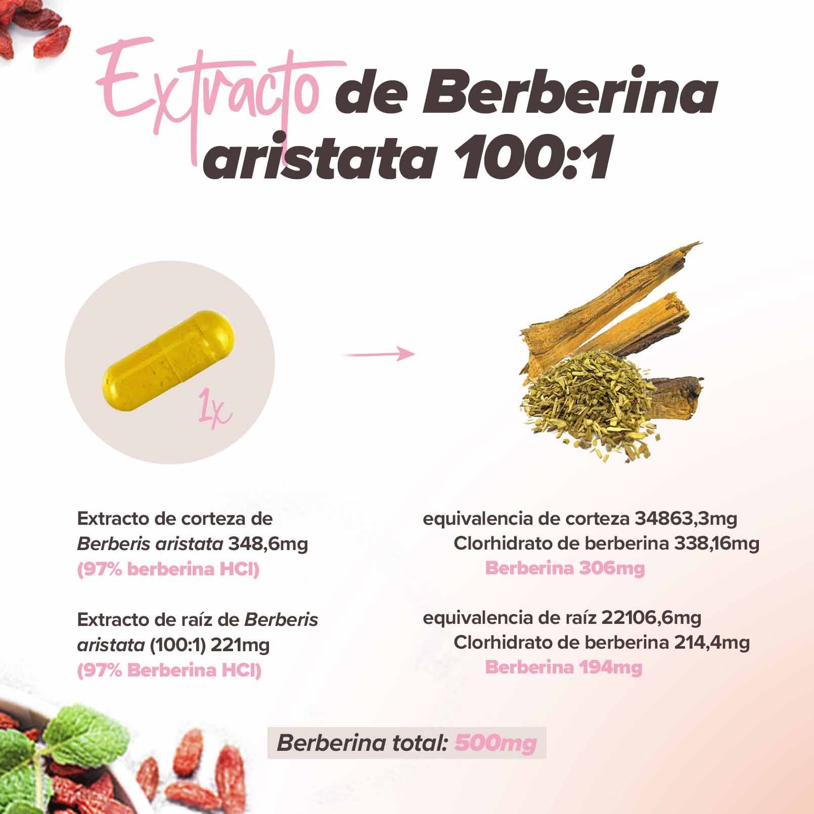 HSN Berberina Complex 500mg | Extracto de Berberis Aristata 97% Berberina HCl | Con Citrato de Magnesio y Cromo | 120 Cápsulas Veganas | Apoyo al Metabolismo y Glucosa Normal