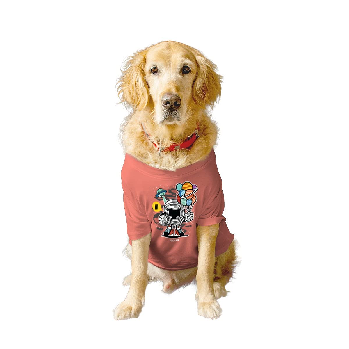 Ruse Basic Crew Neck Gift from Outer Space Printed Half Sleeves/Apparel/Clothes/T-Shirt Gift for Dogs.Colour-Salmon/Small (Apso, Shih Tzu etc.) (B0979B7LV6) Amazon Price History, Amazon Price Tracker