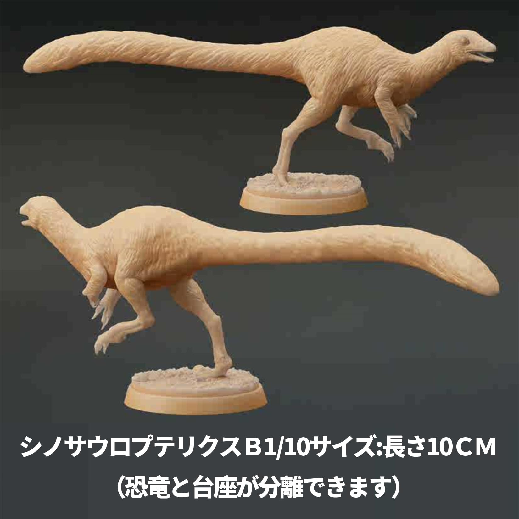 Amazon | BACALYSO | 1/10 シノサウロプテリクス フィギュア 10-12cm級